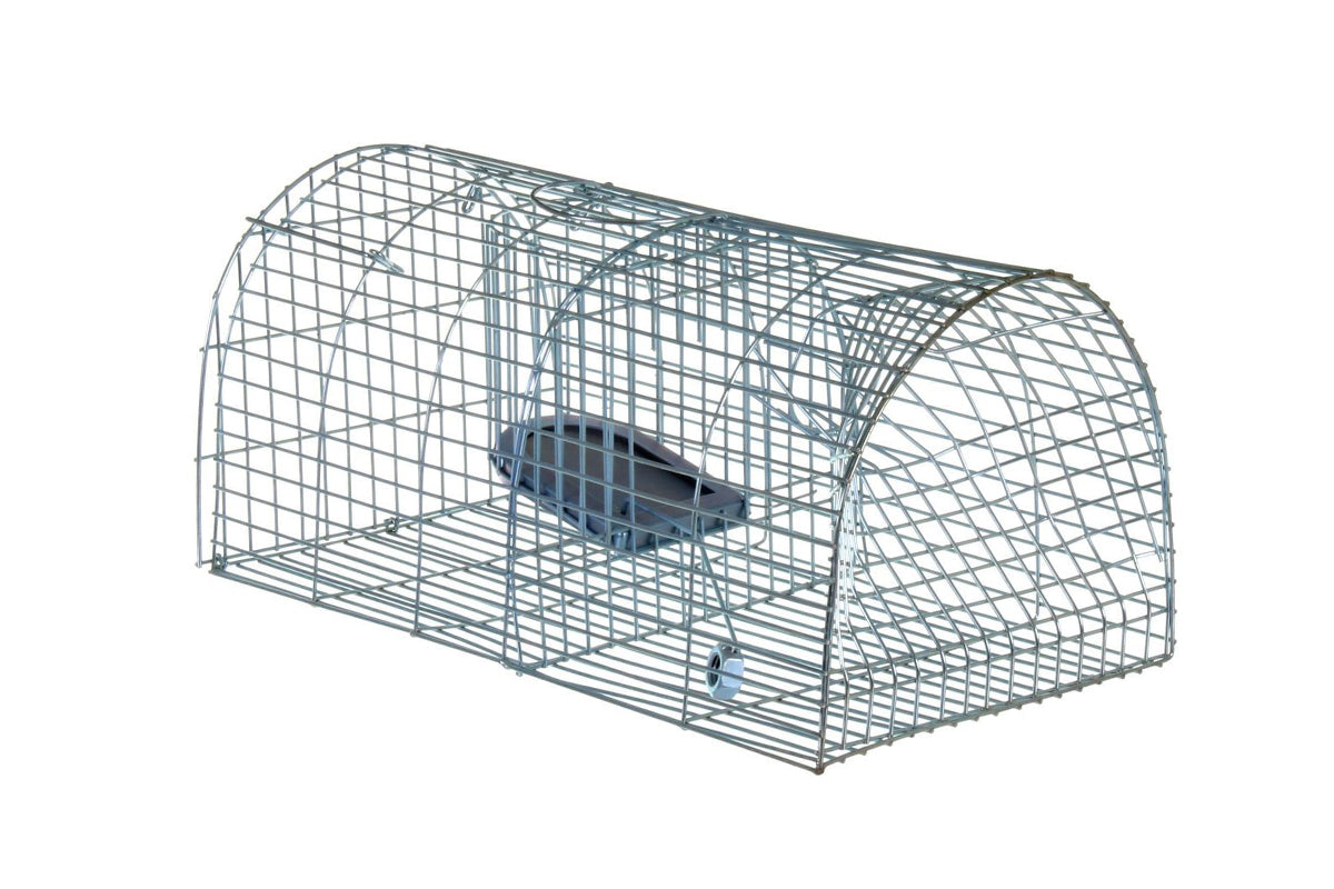Rat & Mouse Traps