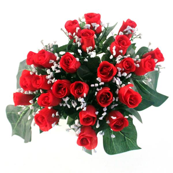 Rose Bud Bush