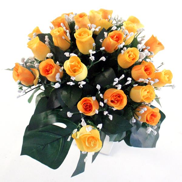 Rose Bud Bush