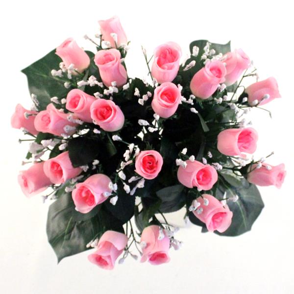 Rose Bud Bush