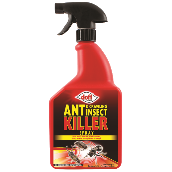 Insect Killer