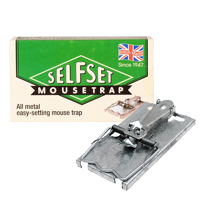Mouse Trap
