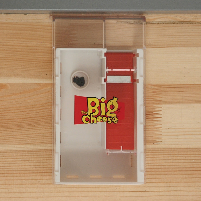 Mouse Trap
