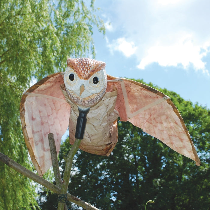 Hunting Barn Owl