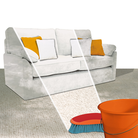 Carpet and Upholstery Cleaner