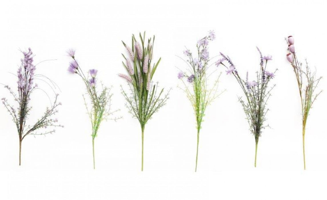 Wild Flower