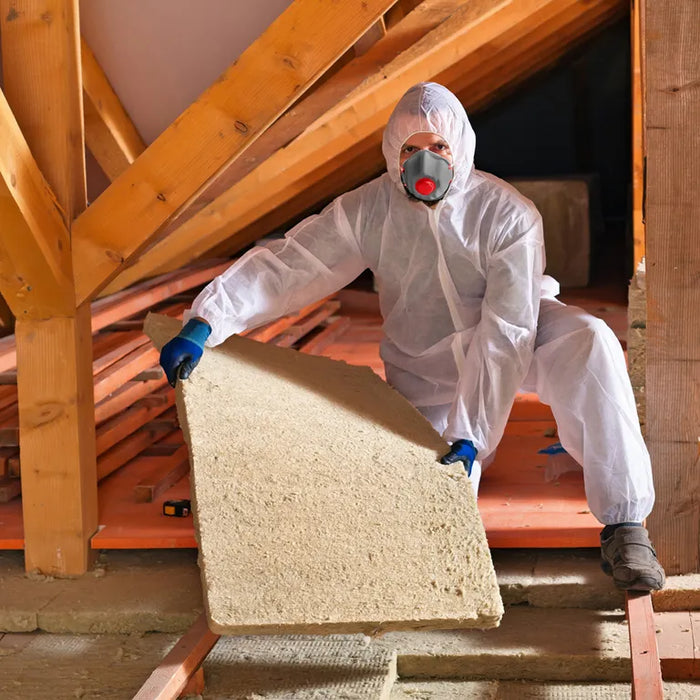 Dust Mask Carbon Filter