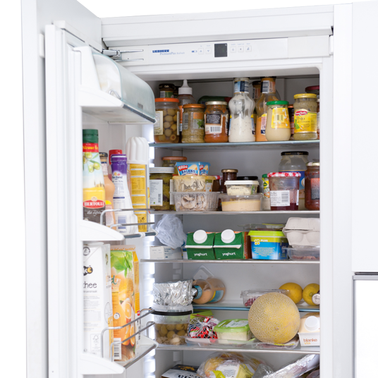 Hygienic Fridge Cleaner