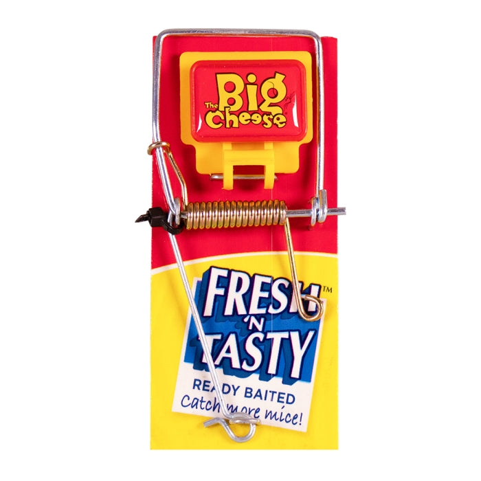 Mouse Trap