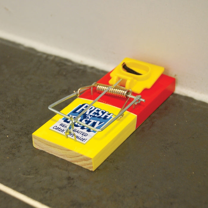 Mouse Trap