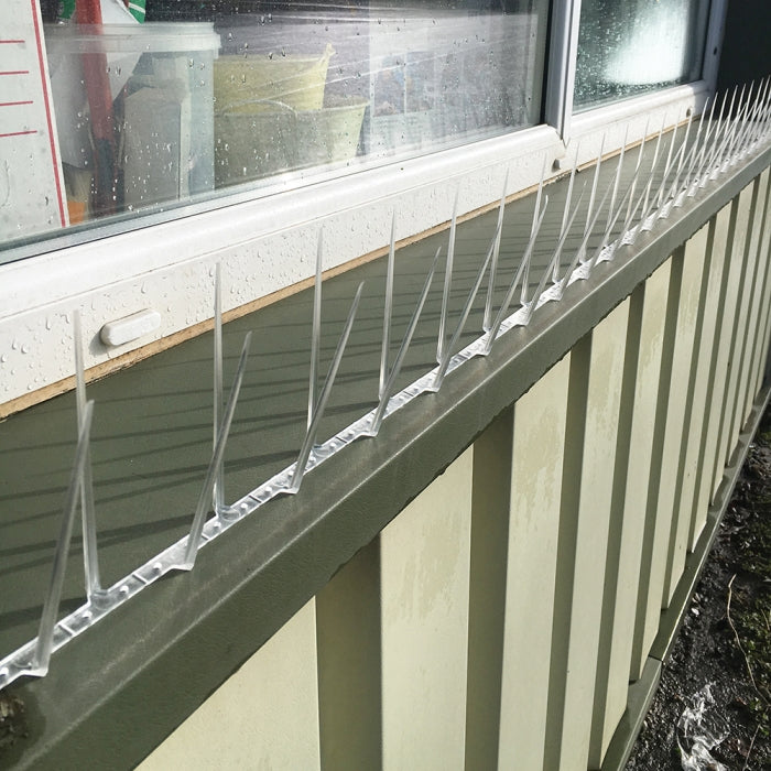 Slim Fit Bird Spikes 2M