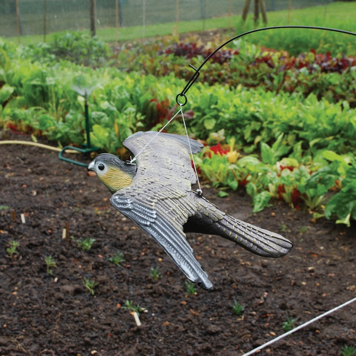 Flying Falcon