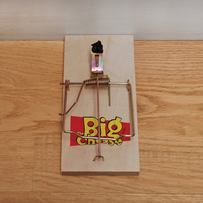 Rat Trap