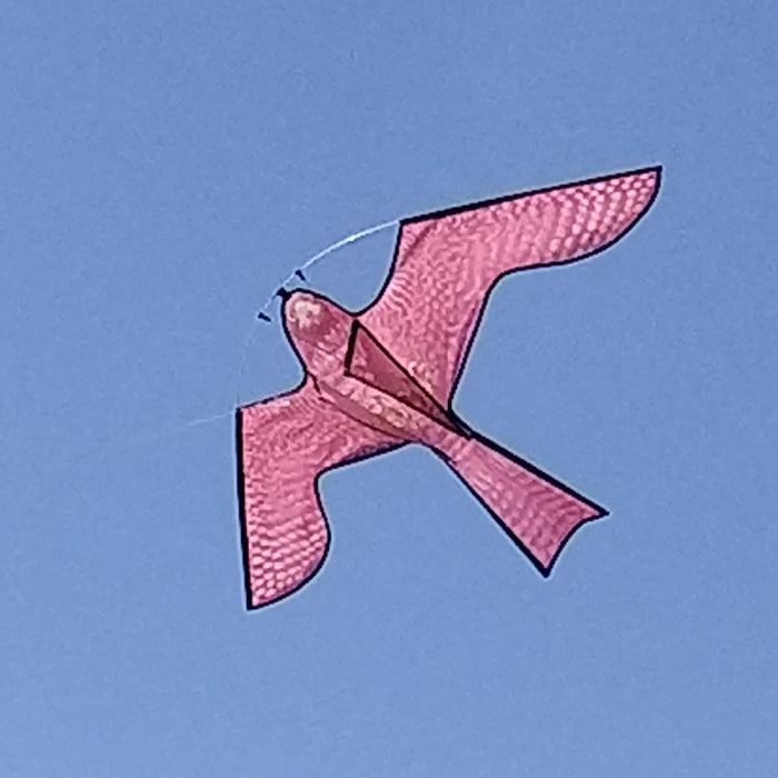Hawk Kite Bird Scarer