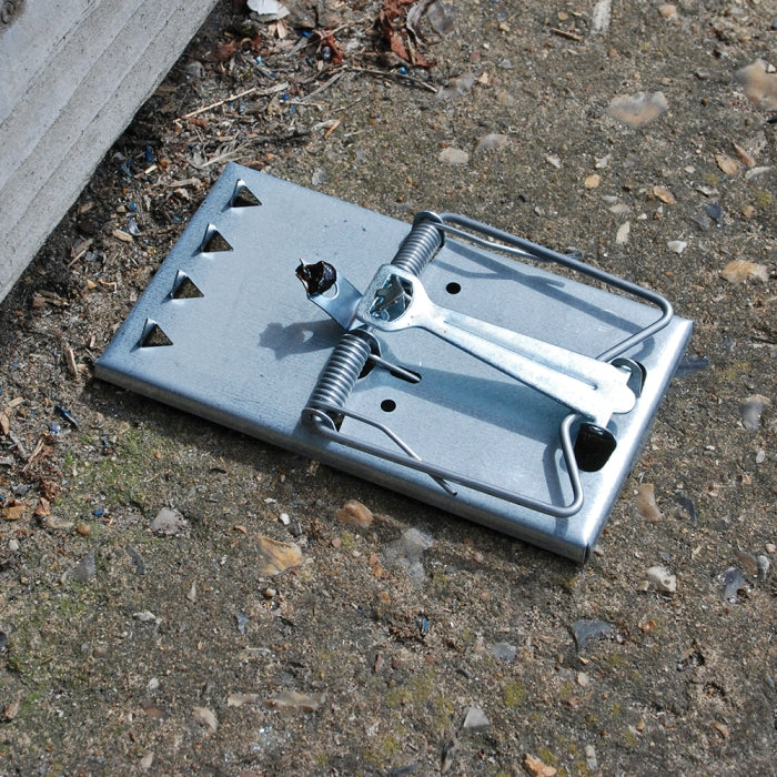 Rat Trap
