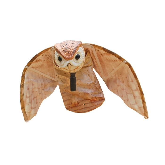 Hunting Barn Owl