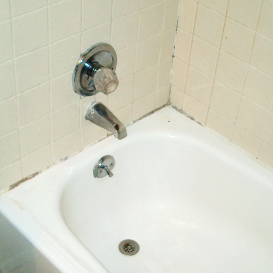 Mould Spray