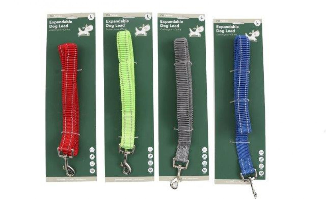 Dog Lead Expandable
