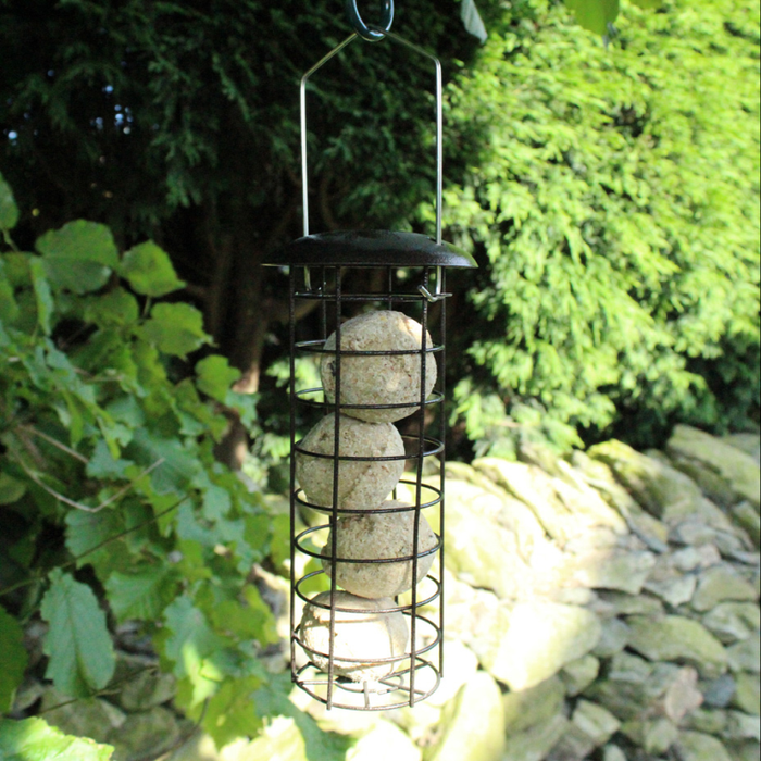 Fat Ball Feeder