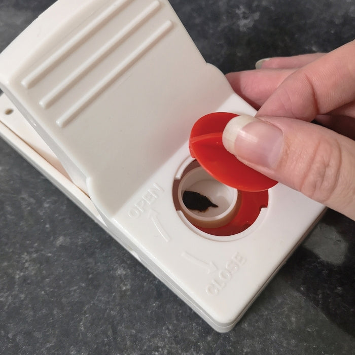 Rat Trap