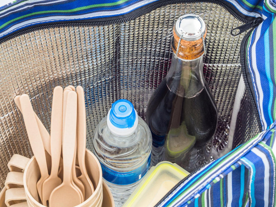 Cooler Bag