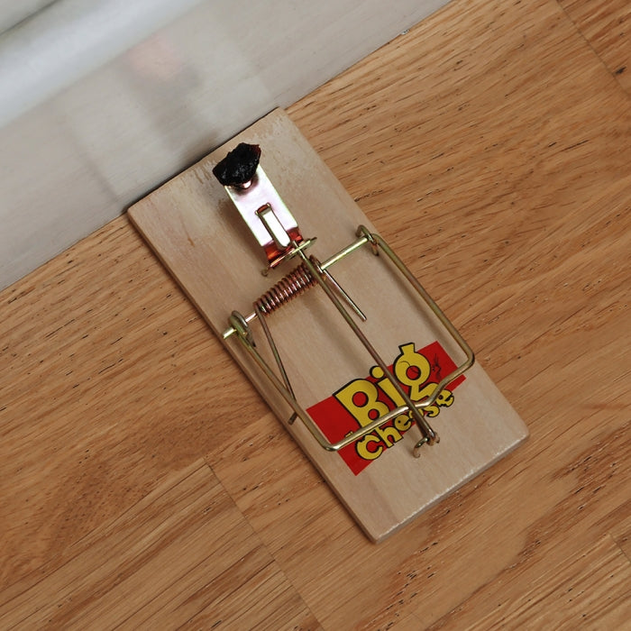 Mouse Trap