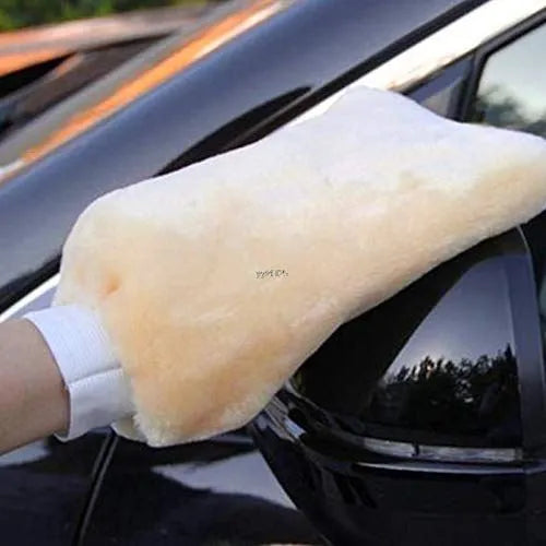 Wash Mitt