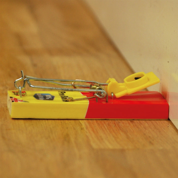 Mouse Trap