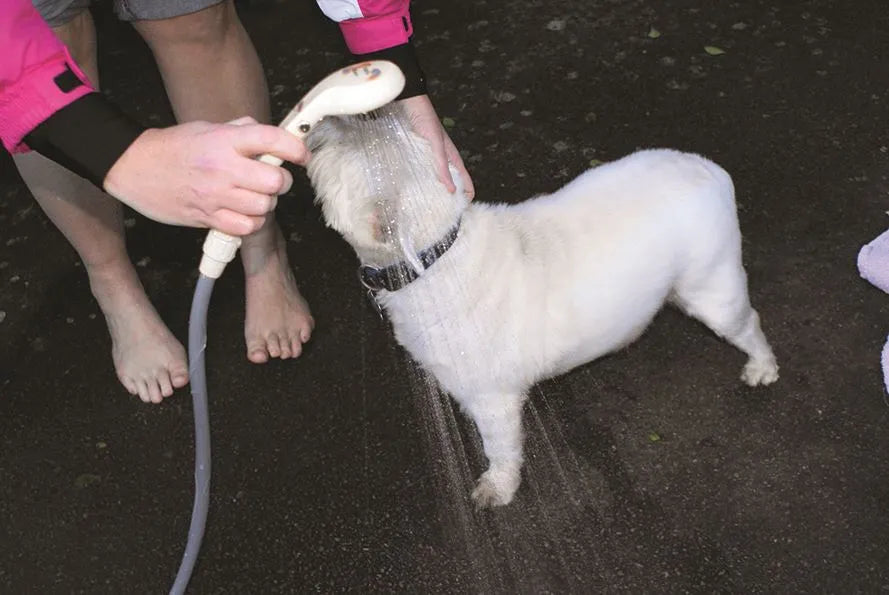 Portable Shower