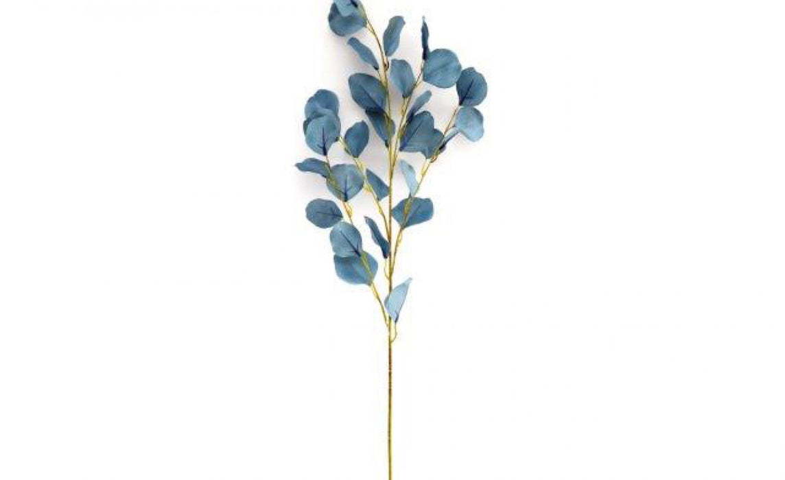 Eucalyptus Spray