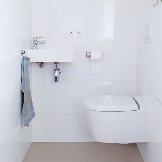 Sanitary Area Cleaner