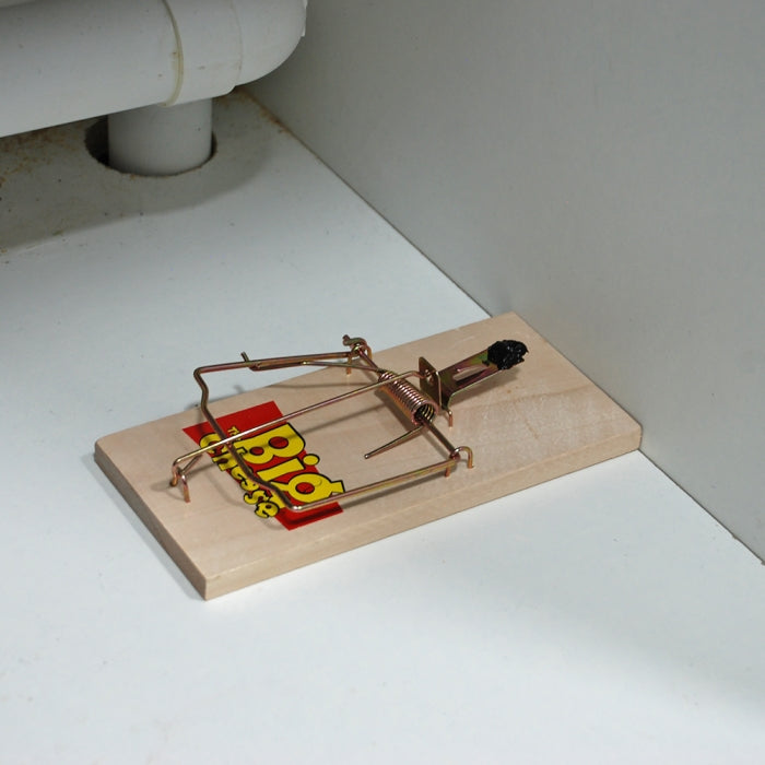 Mouse Trap