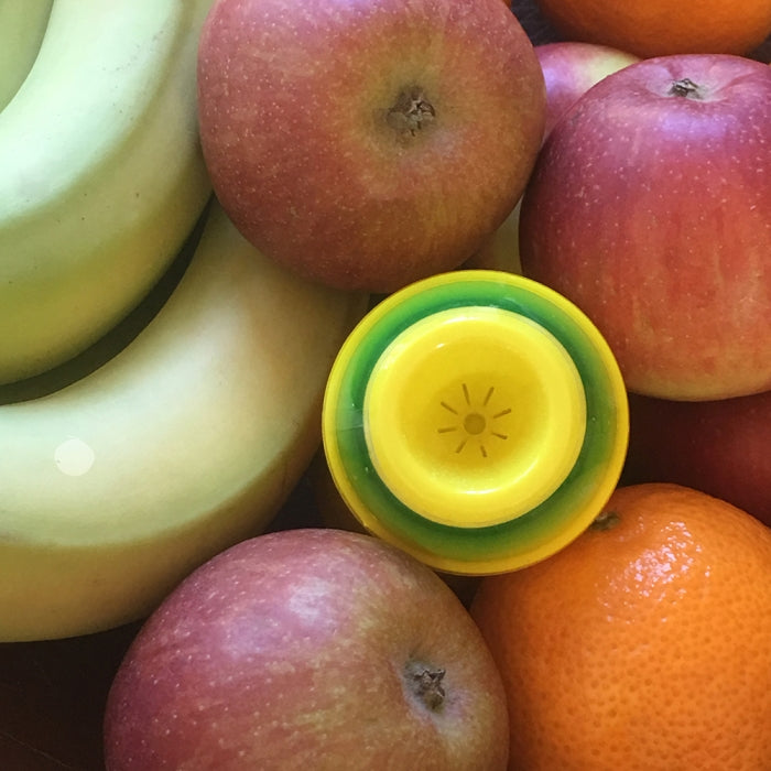 Ready Baited Fruit Fly Trap