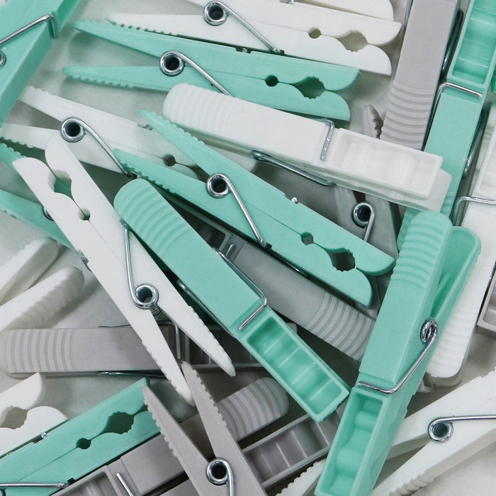 Plastic Pegs