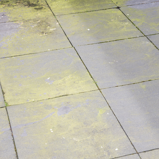 Algae and Mould Remover