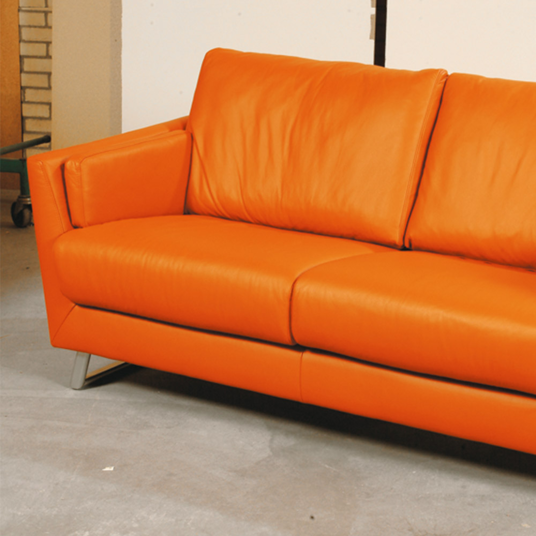 4 in 1 Protector for Leather