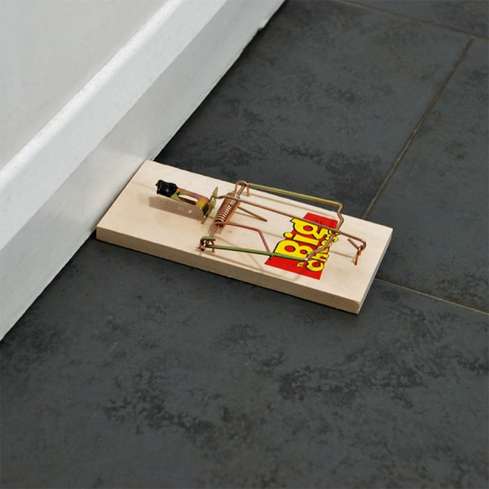 Rat Trap