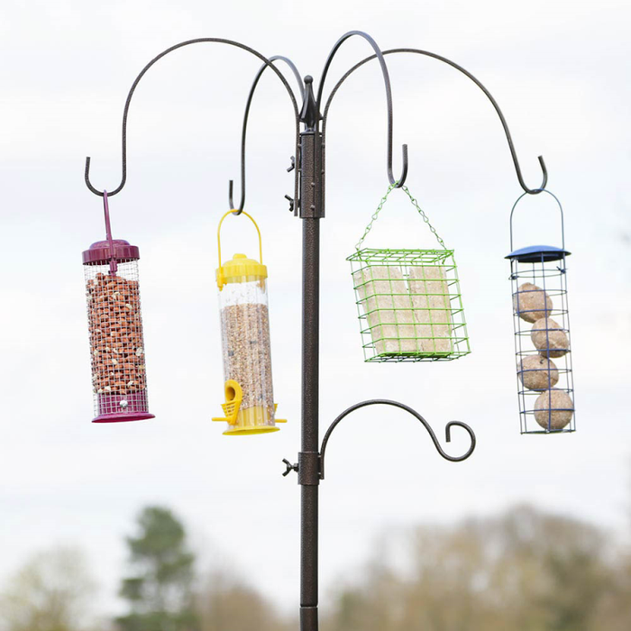Bird Feeding Station