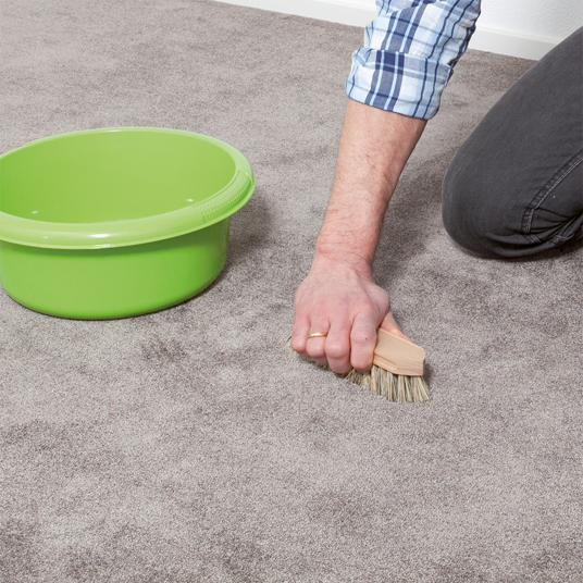 Carpet and Upholstery Cleaner