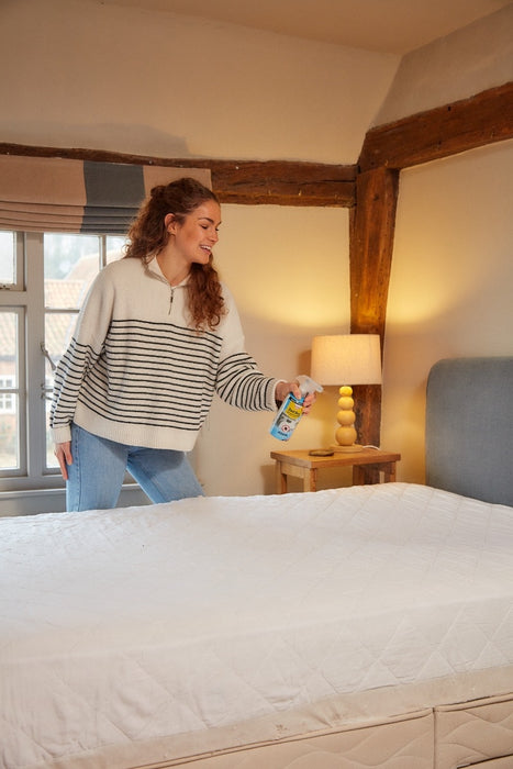 Bed Bug Killer