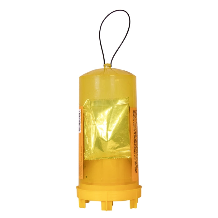 Wasp Bait