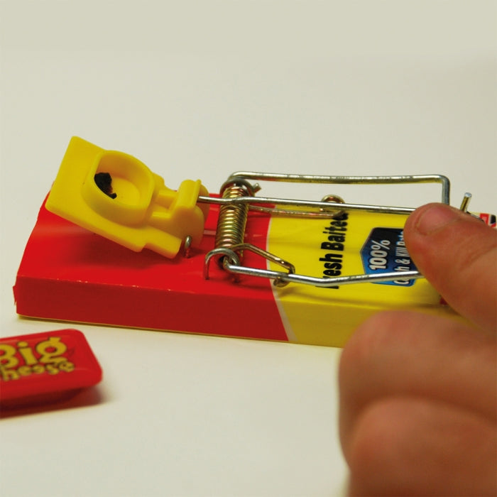 Mouse Trap