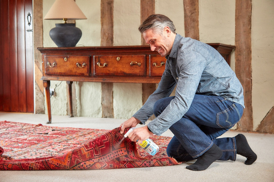 Bed Bug Killer