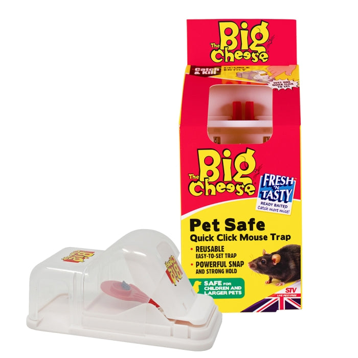 Mouse Trap