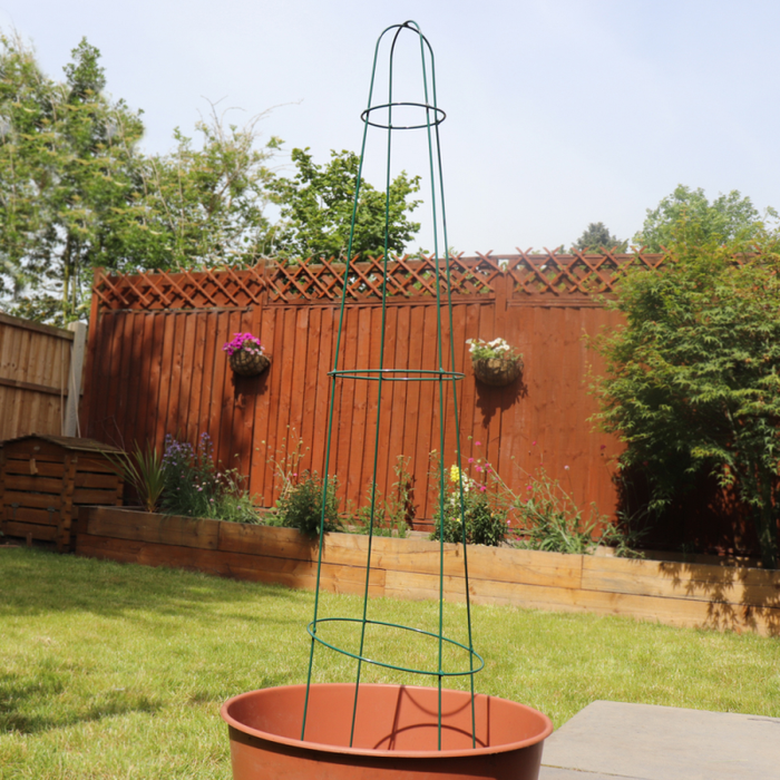 Garden Obelisk