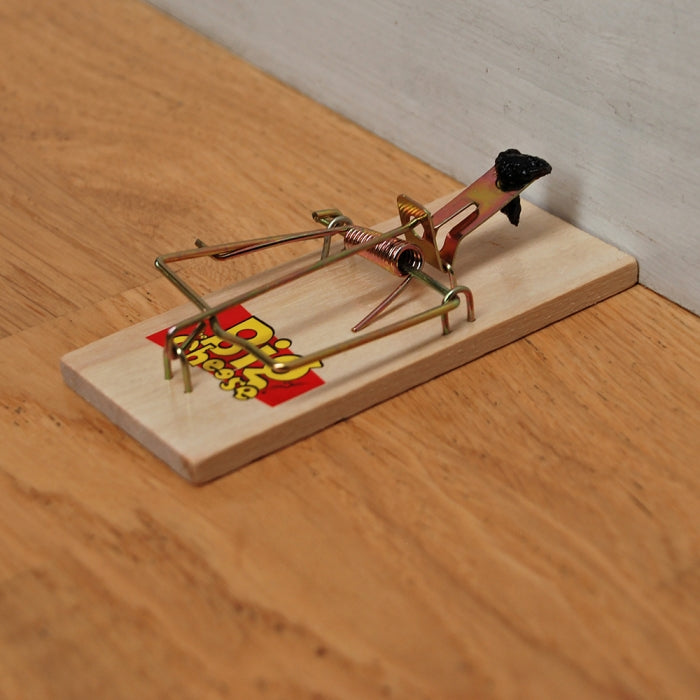 Mouse Trap