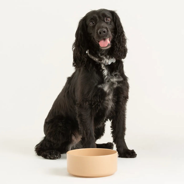 Cane Pet Bowl 15cm