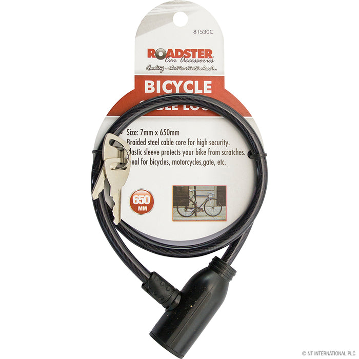 Bicycle Lock