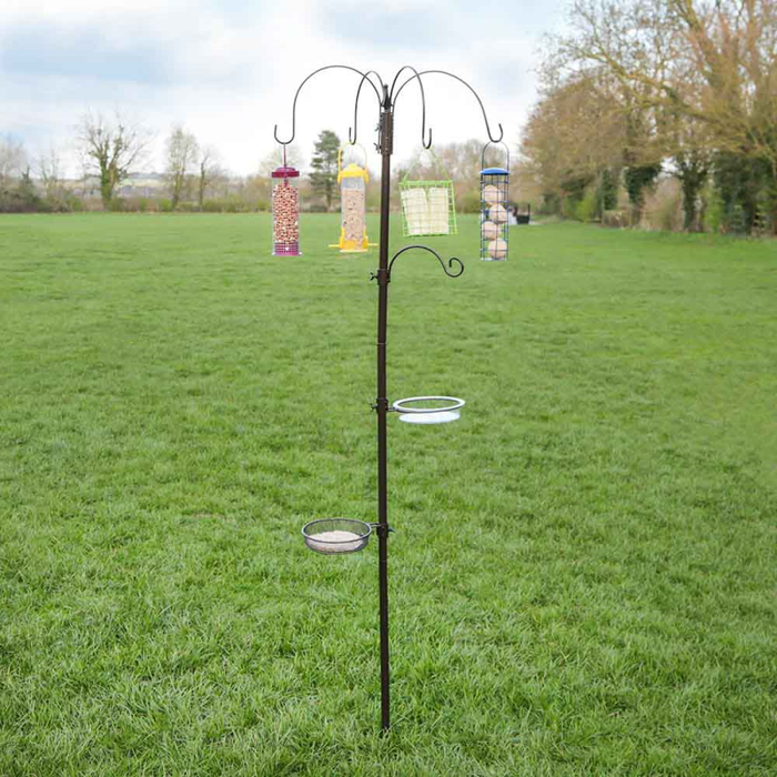 Bird Feeding Station