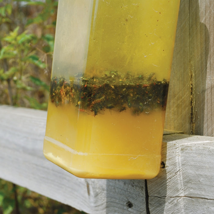 Fly Trap